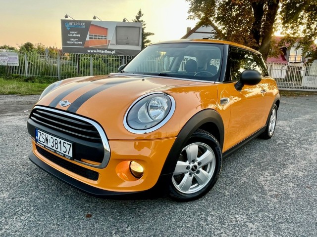 mini